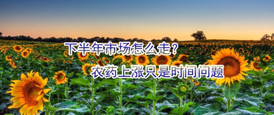 下半年市場怎么走？農(nóng)藥上漲只是時間問題