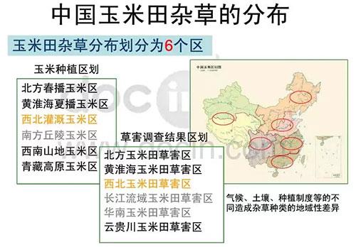 玉米田陷入斷檔期，除草劑到了大洗牌時(shí)代