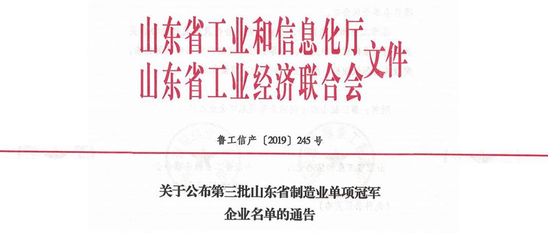 集團(tuán)榮獲山東省第三屆制造業(yè)“單項(xiàng)冠軍”企業(yè)榮譽(yù)稱(chēng)號(hào)