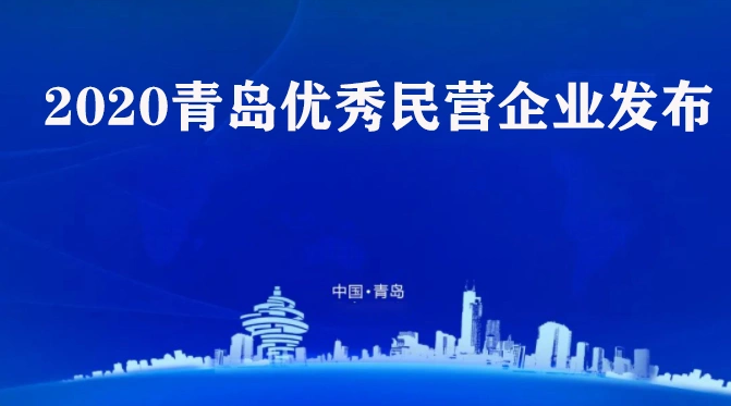 喜訊！海利爾藥業(yè)集團(tuán)榮獲2020青島優(yōu)秀民營(yíng)企業(yè)