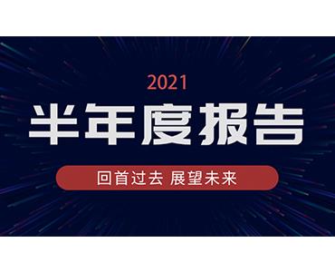 海利爾藥業(yè)集團2021年半年度報告